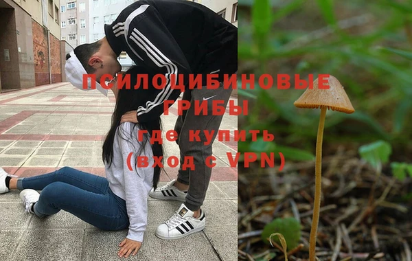 соль курить ск Алексин