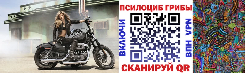 blacksprut зеркало  Ейск  Галлюциногенные грибы GOLDEN TEACHER 