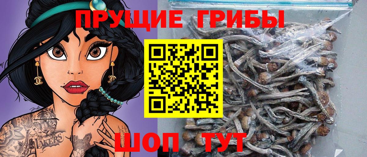 Галлюциногенные грибы ЛСД  Вход с VPN  Ейск 