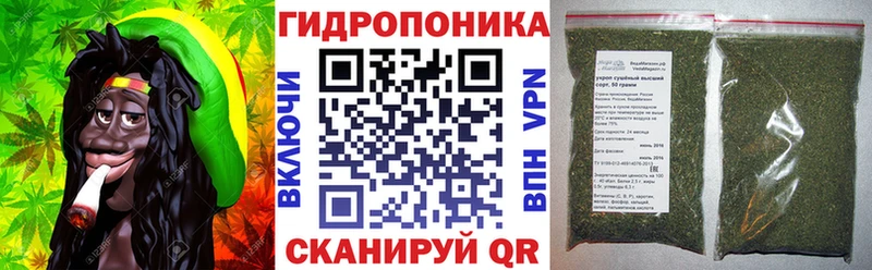 продажа наркотиков  Ейск  Шишки марихуана конопля 